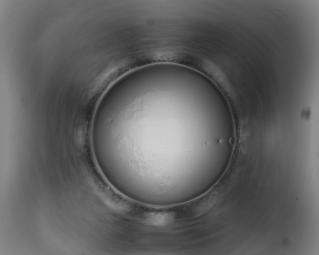 X0000112490161200908241334