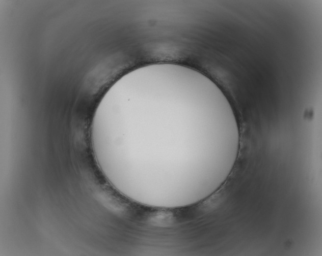 X0000112490162200908241334