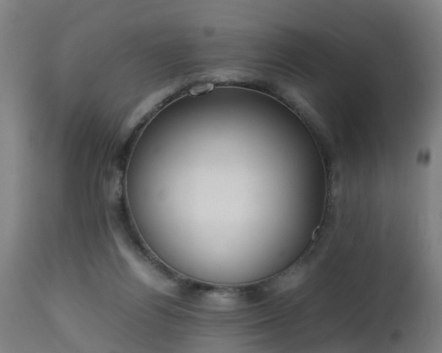 X0000112490164200908241334