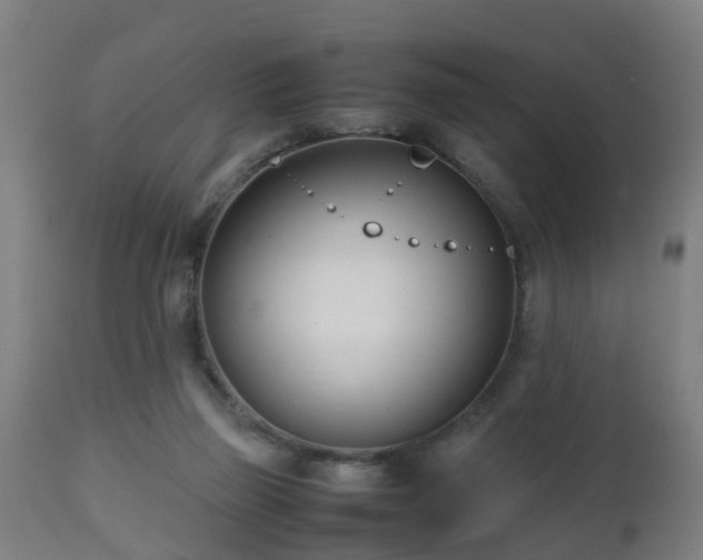 X0000112490165200908241334