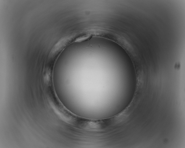 X0000112490166200908241334