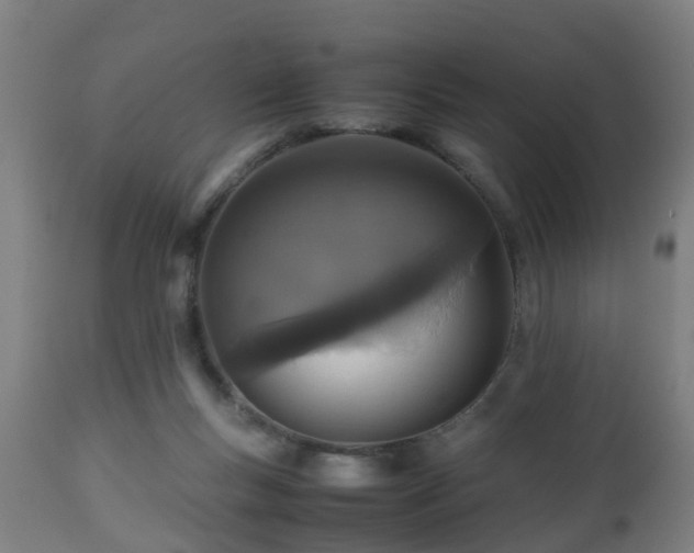 X0000112490167200908241334