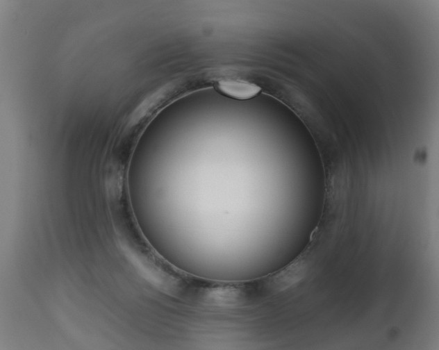 X0000112490168200908241334