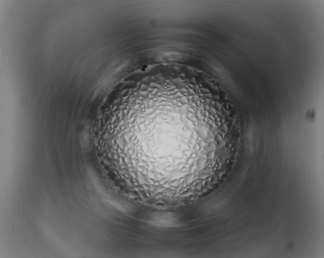 X0000112490169200908241334