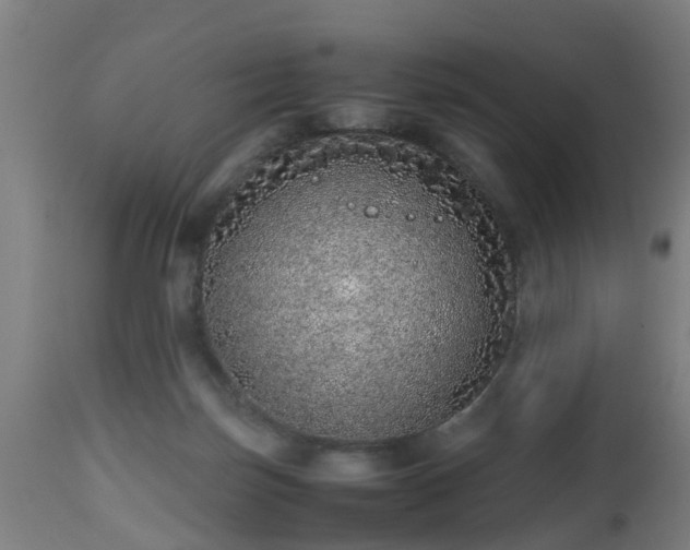 X0000112490171200908241334