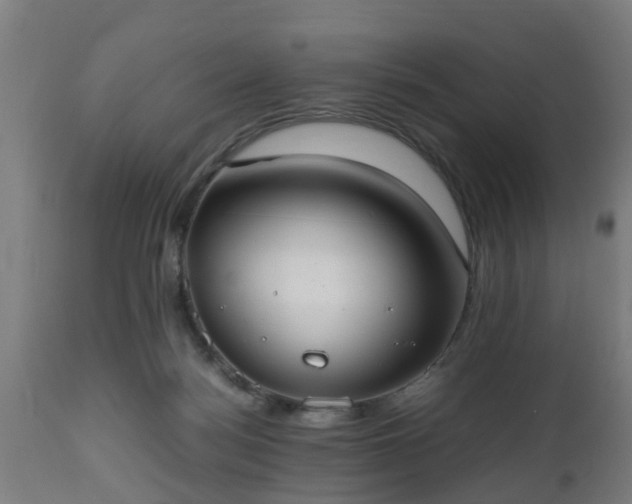 X0000112490172200908241334