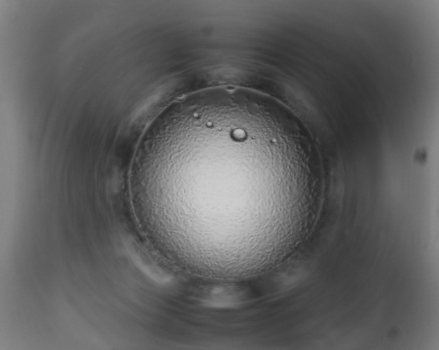 X0000112490173200908241334