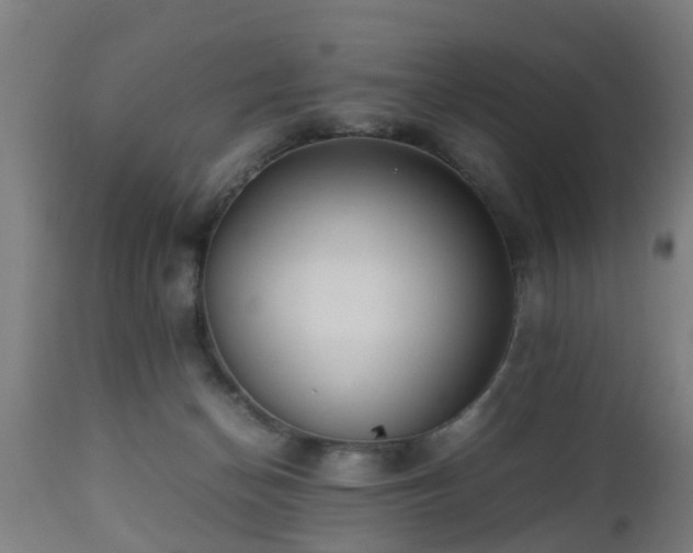 X0000112490174200908241334