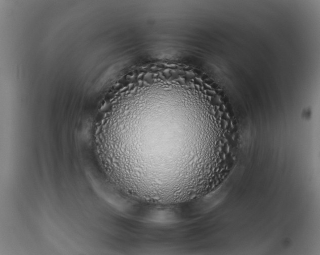 X0000112490175200908241334