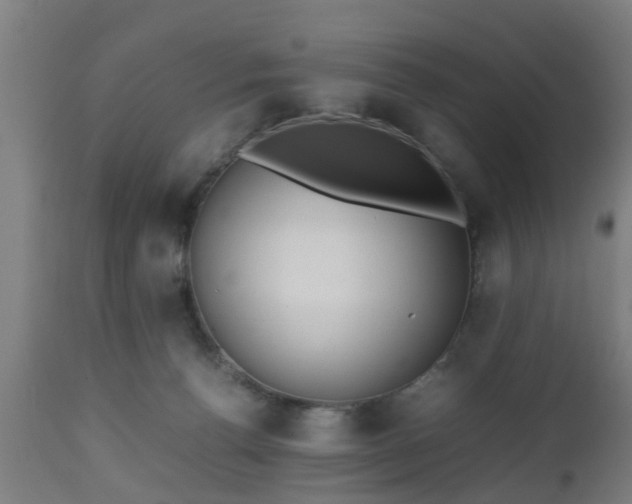 X0000112490176200908241334