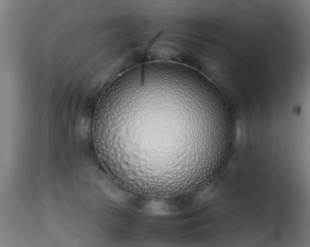 X0000112490177200908241334