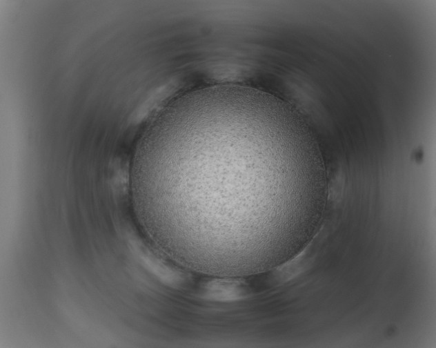 X0000112490179200908241334