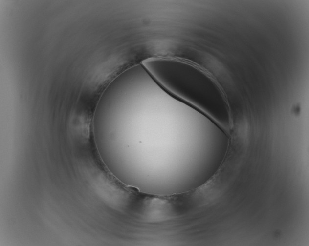 X0000112490180200908241334