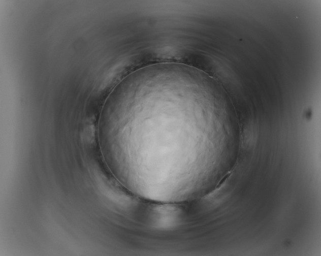 X0000112490183200908241334