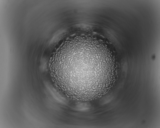 X0000112490185200908241334