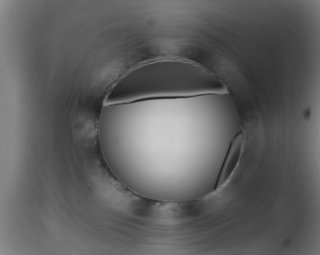 X0000112490186200908241334