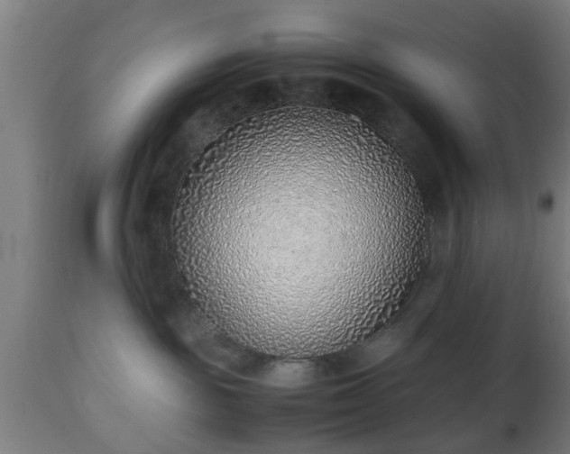 X0000112490189200908241334