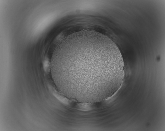 X0000112490191200908241334