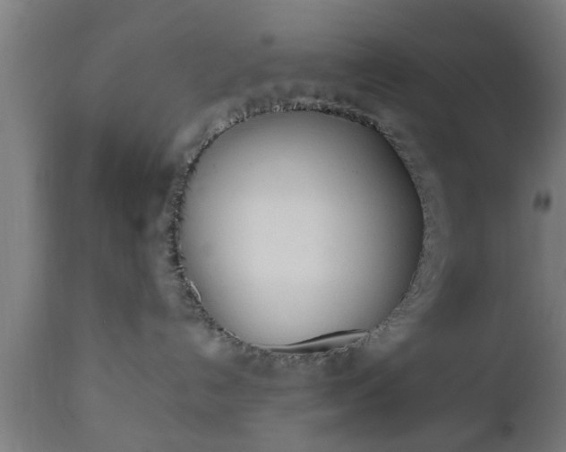 X0000112490192200908241334