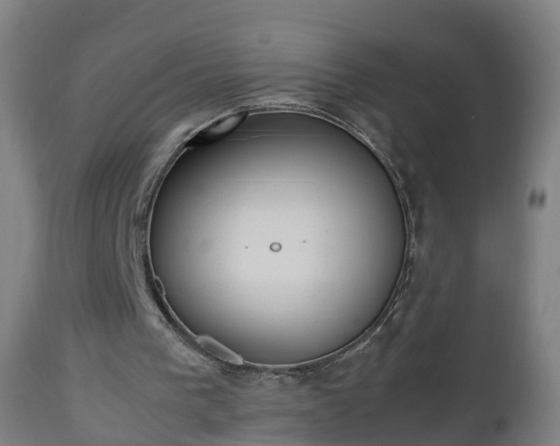 X0000112490193200908241334