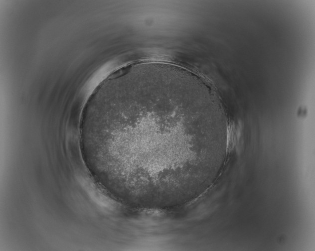 X0000112490195200908241334