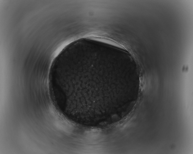 X0000112490196200908241334