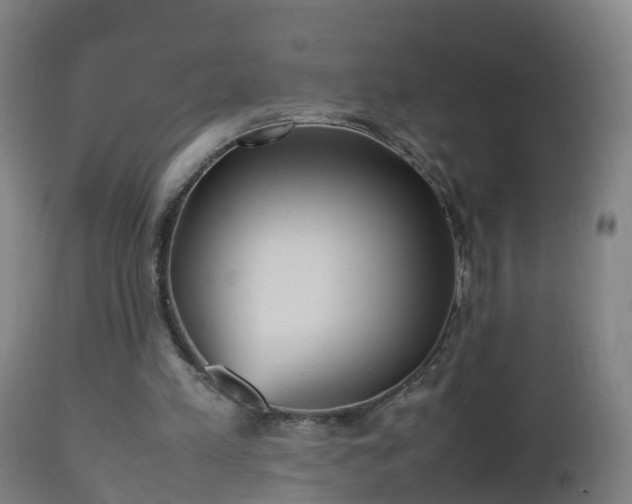 X0000112490197200908241334