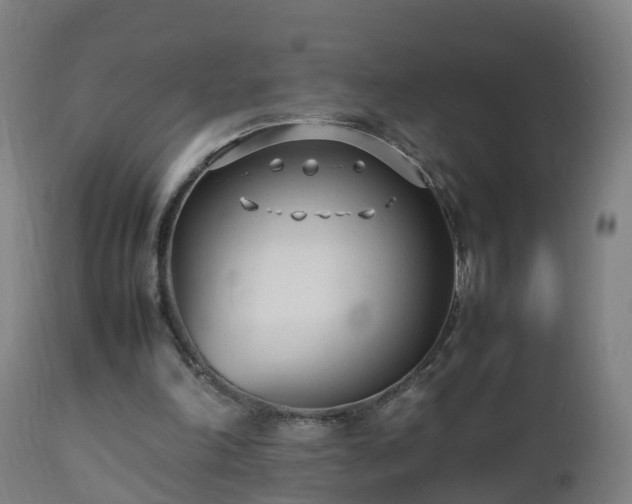 X0000112490198200908241334