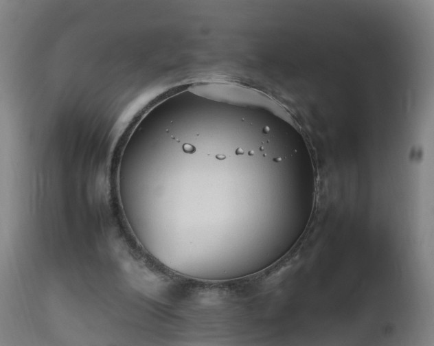 X0000112490200200908241334