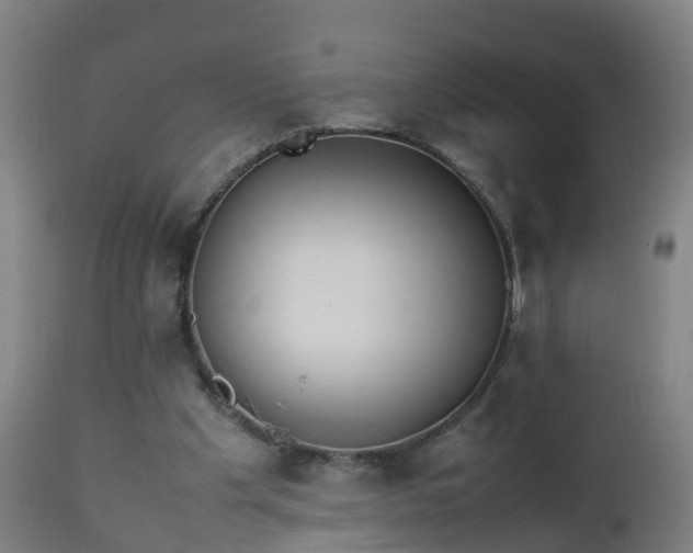 X0000112490201200908241334