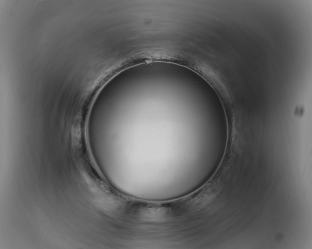 X0000112490202200908241334