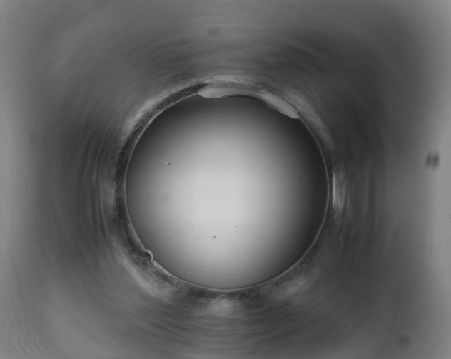 X0000112490204200908241334