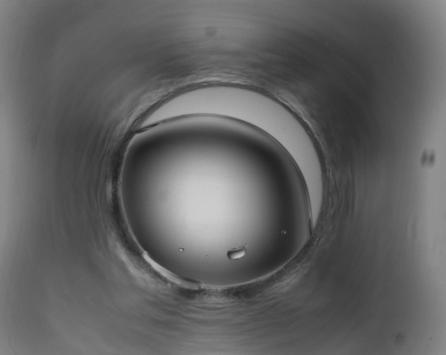 X0000112490205200908241334