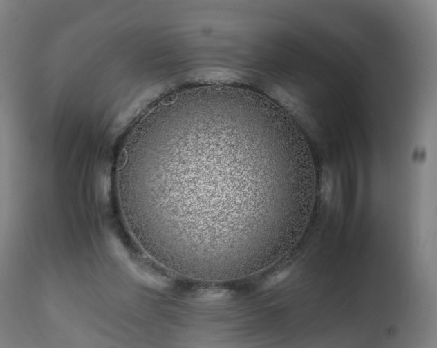 X0000112490206200908241334