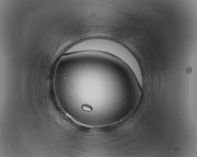 X0000112490207200908241334