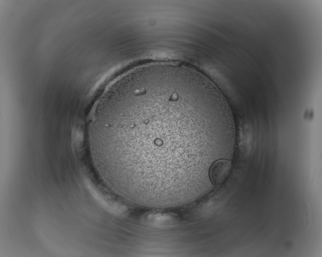 X0000112490208200908241334