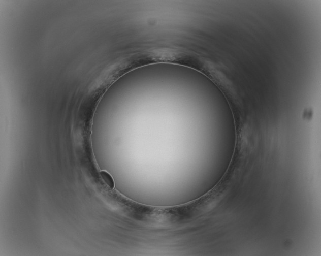 X0000112490209200908241334