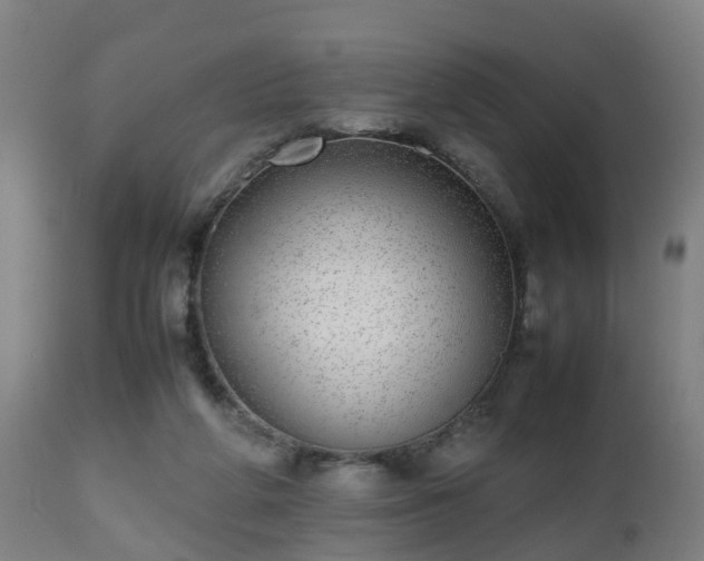 X0000112490210200908241334