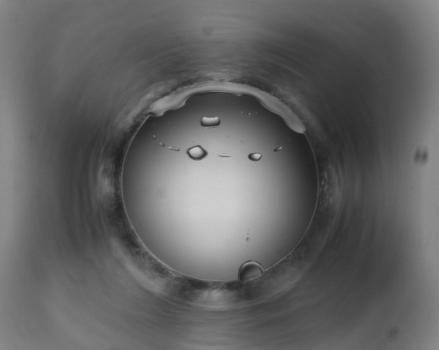 X0000112490212200908241334