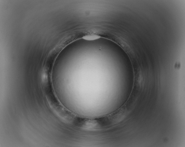 X0000112490214200908241333