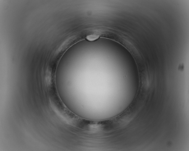 X0000112490216200908241333