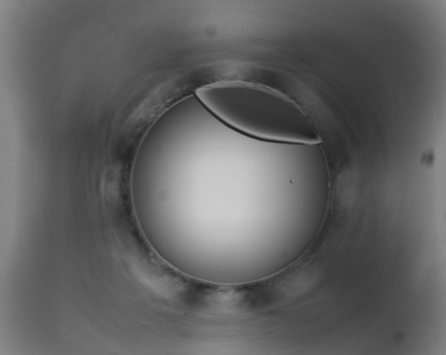 X0000112490217200908241333