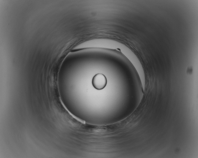 X0000112490220200908241333