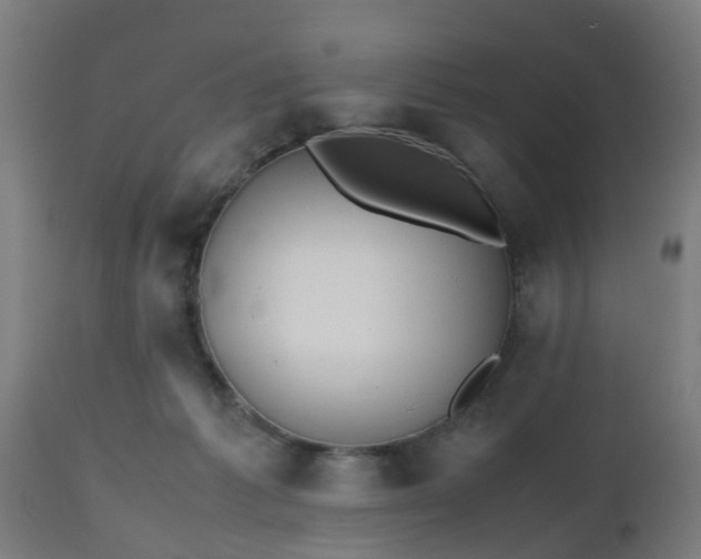 X0000112490221200908241333