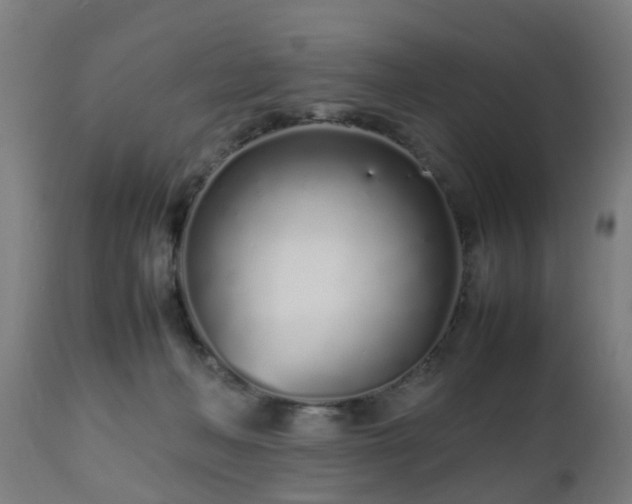 X0000112490222200908241333