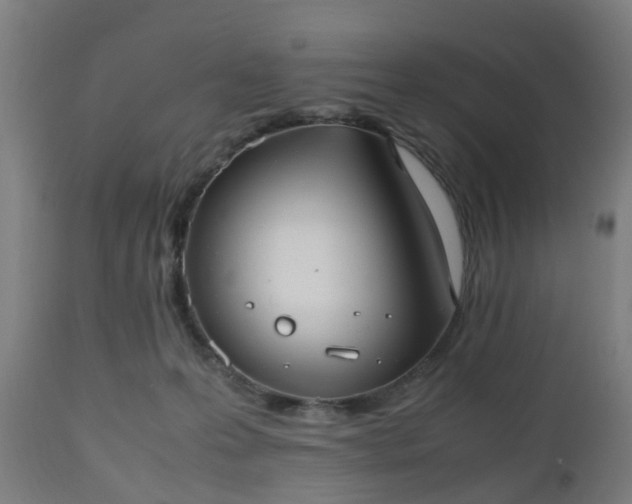 X0000112490223200908241333