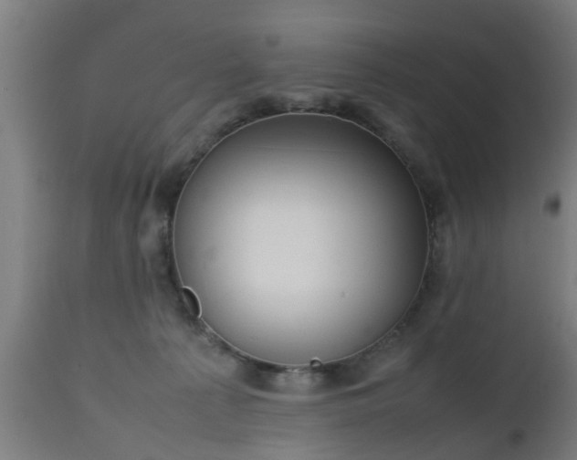 X0000112490225200908241333