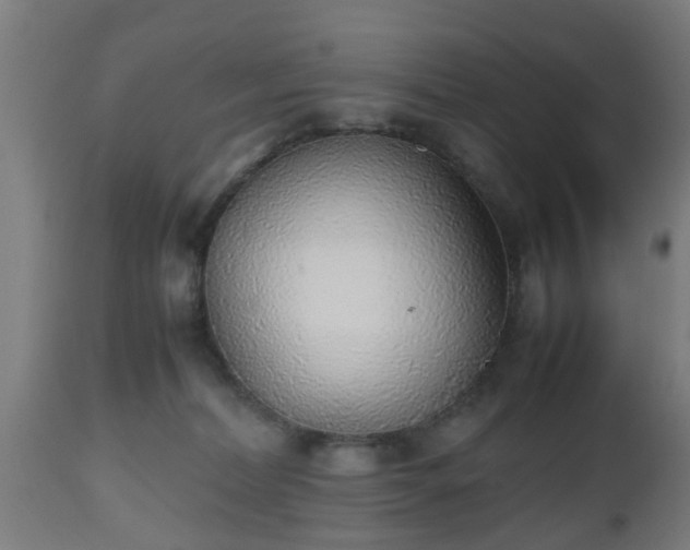 X0000112490228200908241333