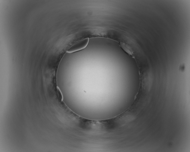 X0000112490229200908241333