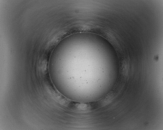 X0000112490230200908241333